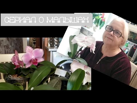 Видео: Подводим итоги, принимаем новенькую!