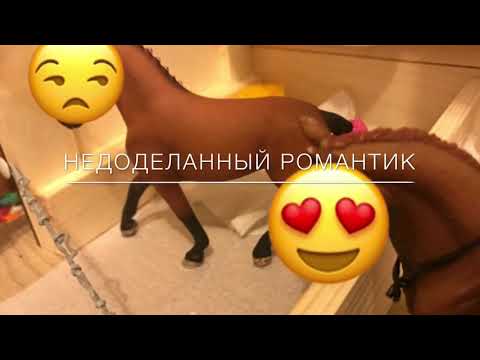 Видео: Типы лошадей шляйх (и не только...)