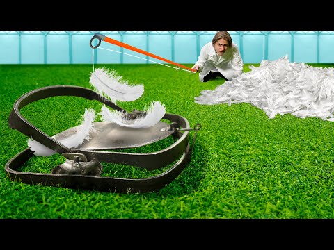 Видео: От скольки пёрышек сработает медвежий капкан?