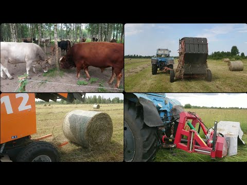 Видео: Сенокос в разгаре. Приобрели 2 с/х машины для заготовки кормов. Продажа молока.