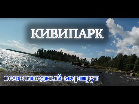 Видео: Велопутешествие в Кивипарк