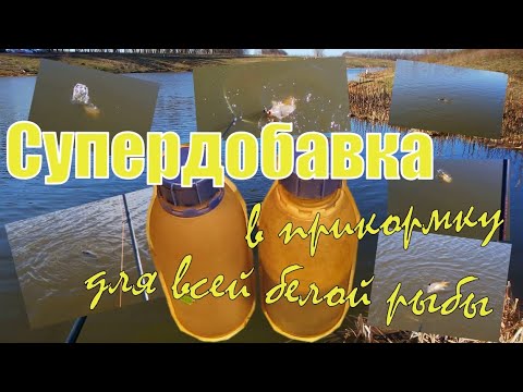 Видео: Супер добавка для прикормки.  Как обловить всех!