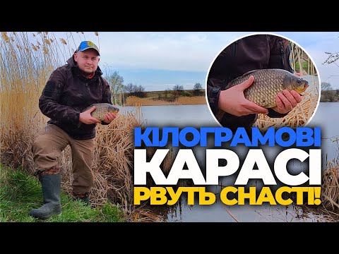 Видео: ОЦЕ РИБАЛКА!!! КІЛОГРАМОВІ карасі РВУТЬ СНАСТІ! РИБОЛОВЛЯ на КАРАСЯ.