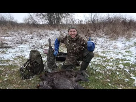 Видео: Охота на бобра с тепловизором и капканами #13 castor fiber
