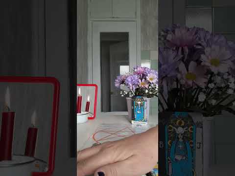 Видео: Злодеи,которые хотели отобрать жилье,разорить,поживится чужим остались на помойке бомжами!!!🔥🔥🔥