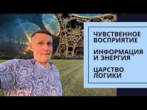 Видео: О чувственном восприятии и жестком информационном мире