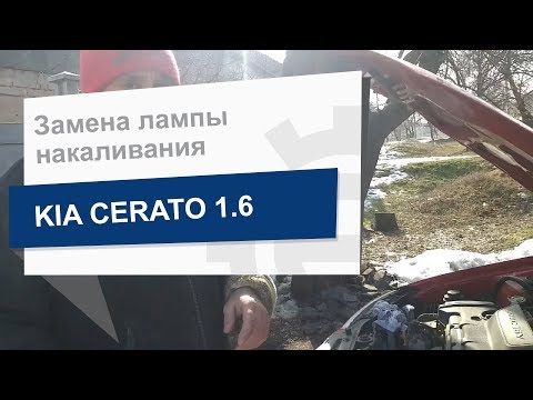 Видео: Замена лампы накаливания PHILIPS 12342PRB1 на KIA Cerato