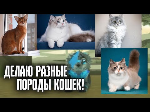 Видео: Делаю породы кошек в WCUE!  #wcue #warriorcats #котывоители #подпишись