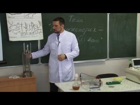 Видео: Первая пара ВГУИТ (биоинженерия)