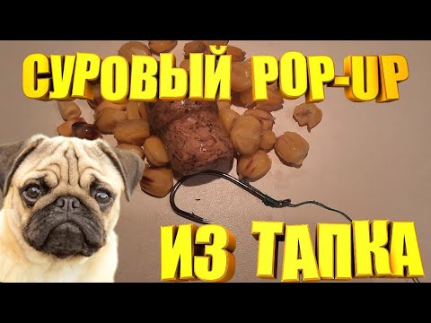 Видео: БРАГА на карпа + СУРОВЫЙ POP UP из тапка выловит всего карпа и амура.