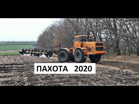 Видео: ПАХОТА 2020!!! К-701 КИРОВЕЦ