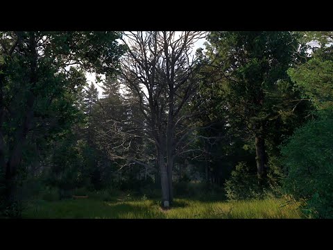 Видео: Kingdom Come: Deliverance II - 146 серия - Прибираем могилу (Штрихи Смерти)