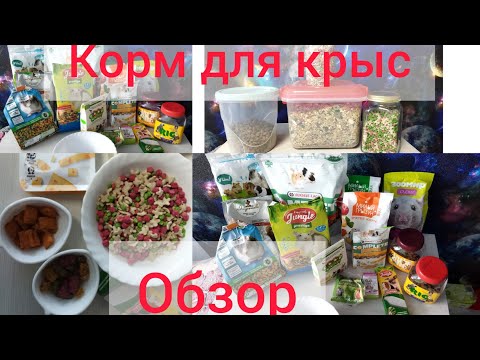 Видео: Корм для крыс/обзор корма/чем я кормлю крыс/камни/вкусняшки#моилюбимки #ratslove #твимз#крысы