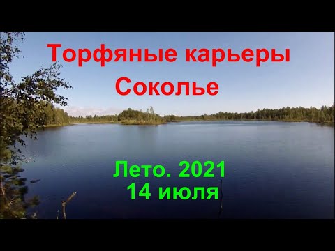 Видео: Торфяные карьеры Соколье.14 июля 2021.