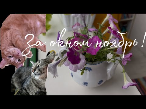 Видео: 🧡 Жизнь по списку на бумаге!