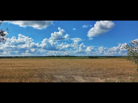 Видео: В поисках старой усадьбы... или водокачка?