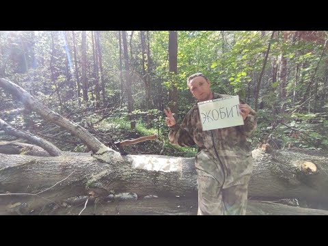 Видео: Изготовление лосиного солонца