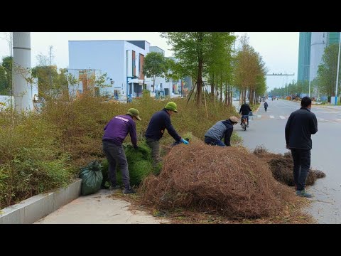 Видео: ШОК! Люди не верят, что мы можем убрать этот страшный, заросший тротуар