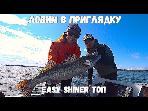 Видео: Ловим рыбу с первого заброса! А что дальше?