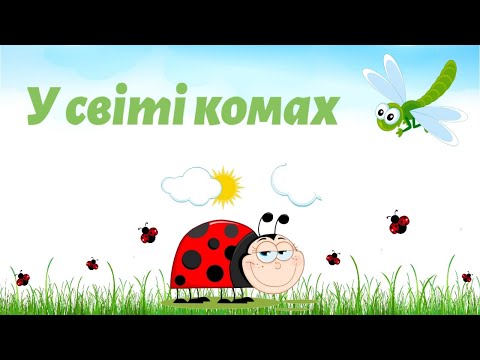 Видео: У світі комах🐝