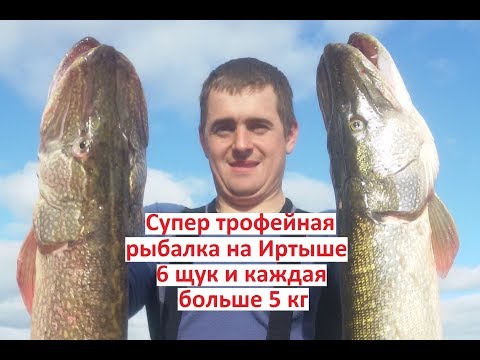 Видео: Супер трофейная рыбалка на Иртыше (6 щук и каждая больше 5 кг)