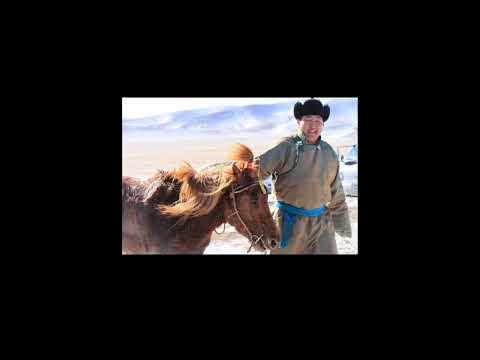 Видео: “Далай зээрд” МУСТА Дуучин А.Хосбаяр