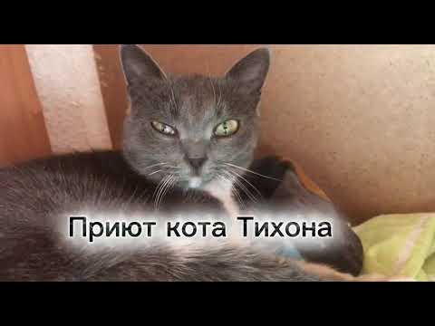 Видео: Заболела Кристи. Новенькие пока не приехали