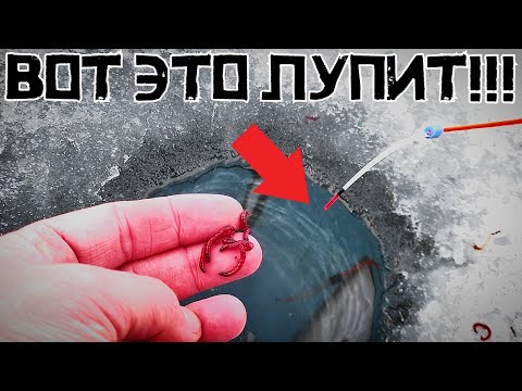 Видео: ПРОВЕРИЛИ СТАРУЮ КОПЬ И ВОТ ЧТО ВЫШЛО! Рыбалка в середине ФЕВРАЛЯ 2025.