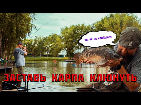 Видео: КЛЁВ БУДЕТ ТОЛЬКО У ТЕБЯ! Как поймать карпа. СМОТРИ И УЗНАЕШЬ!