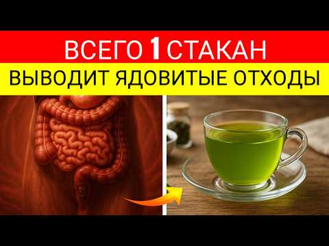 Видео: Доктор: 5-Ночное Очищение Кишечника — Восстановите Пищеварение И Устраните Токсины