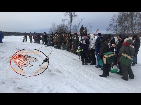 Видео: Соревнования по зимней рыбалке 2019. Пестовский район!