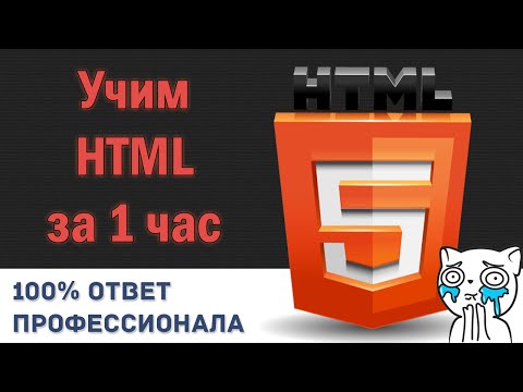 Видео: Учим HTML за 1 Час! #От Профессионала