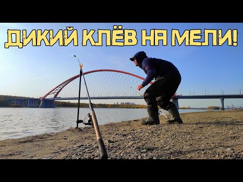 Видео: РЕЧНОЙ МЕЛЯК ШОКИРУЕТ! Не думал ПОПАСТЬ на ТАКОЕ! Рыбалка на донки 2023