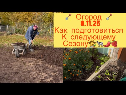 Видео: ОГОРОД  В ШВЕЙЦАРИИ 👩‍🌾 НА 8.11.25 ЧЕМ ЗАНИМАЮСЬ 👩‍🌾🍓🌺🌶️