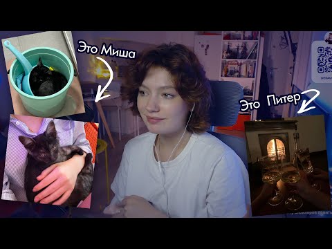 Видео: ИСТОРИИ ИЗ ПИТЕРА И ПОПЫТКИ ЗАВЕСТИ КОТА 😿 | ЕСАУЛ ИГРАЕТ | РЕАКЦИЯ ЕСАУЛ | НАРЕЗКИ ЕСАУЛ