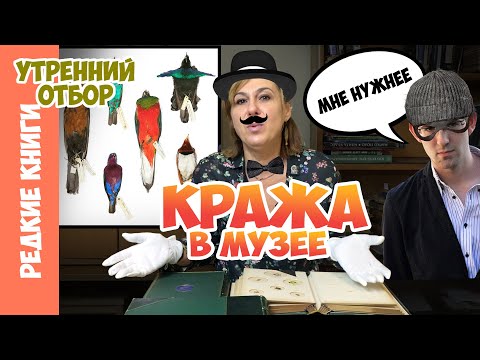 Видео: Тру-крайм. Варвара Миронова