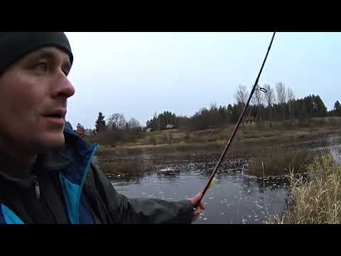 Видео: Река Луга - первые морозы. Рыбалка в ноябре 2022.
