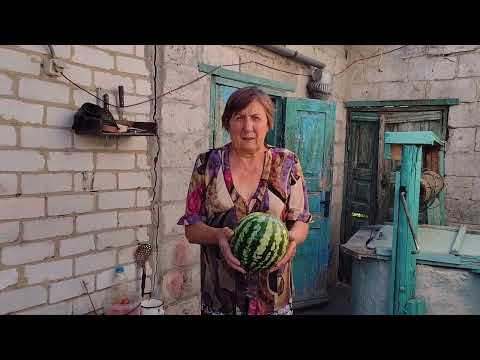 Видео: Vlog 12.09.2025 Рисунок Димы/У родителей/Покупки/Фильм "Маленькие женщины"(2020)