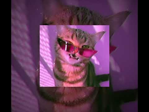 Видео: Полматери - Полина любит грабежи и драки (speed up)