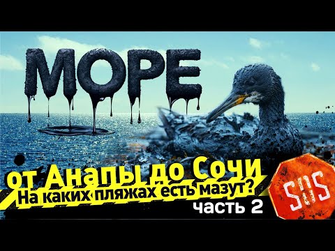 Видео: МОРЕ от АНАПЫ до СОЧИ - На каких пляжах есть мазут? Пляжи от Анапы до Сочи - ч. 2 Большой Утриш