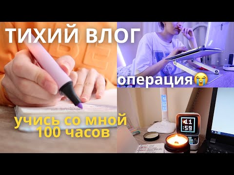 Видео: Учись Со Мной ТИХИЙ ВЛОГ одинокой девочки