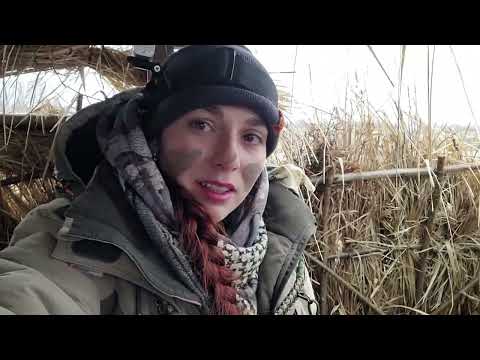 Видео: весенняя охота. первый гусь!