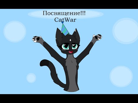 Видео: Посвящение!!! Я - охотница! CatWar