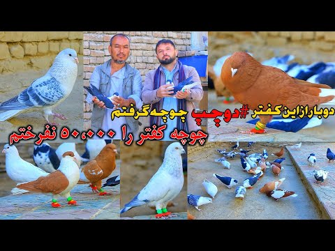 Видео: Я потратил деньги на машину, землю, всё на похоть || Я не продал этого придурка за 50 000 || Слов...