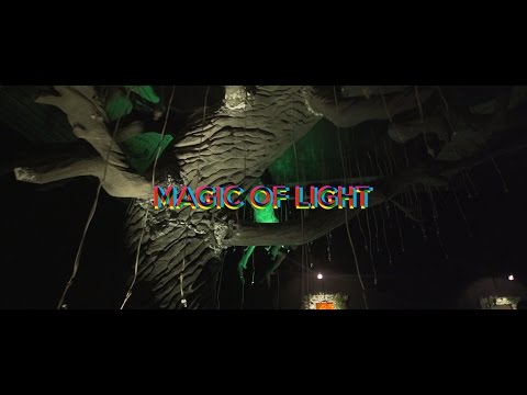 Видео: Выставка Magic of light / Магия света