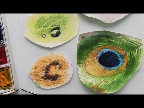 Видео: Учимся рисовать акварелью. Фактуры, часть 5. Мастер-класс "ФАКТУРЫ. ПЕРО"