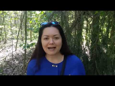 Видео: 104 цены на секции и детские кружки в Чехии