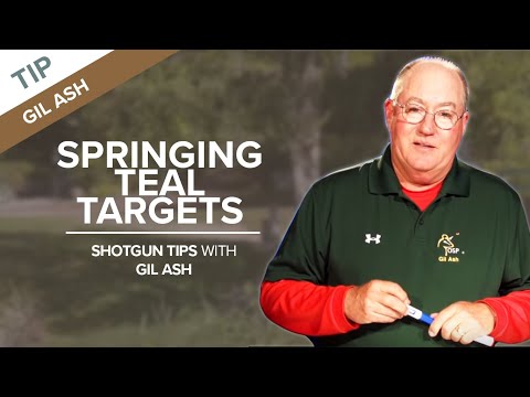 Видео: Стрельба по прыгающим мишеням из голубого неба | Советы по стрельбе из дробовика с Джилом Эшем