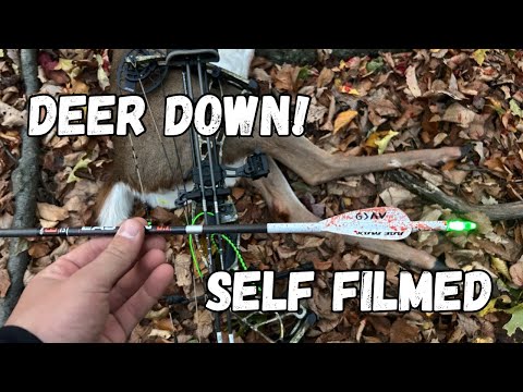 Видео: Охота на оленей в Пенсильвании, 2025 г. (Олень упал! Снято самостоятельно!)