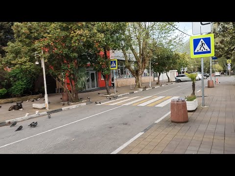 Видео: Хоста - курортный район Сочи